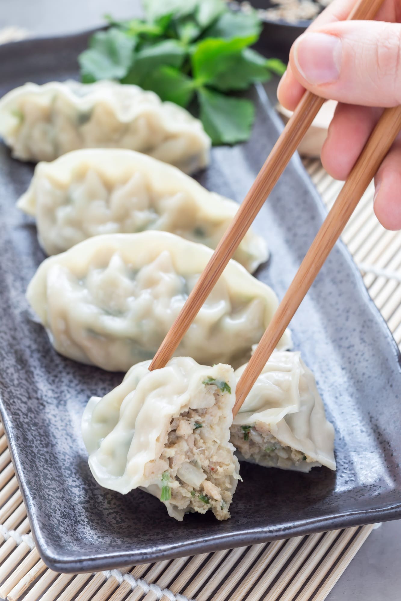 Chicken Dumplings: Easy & Quick | Menucochon